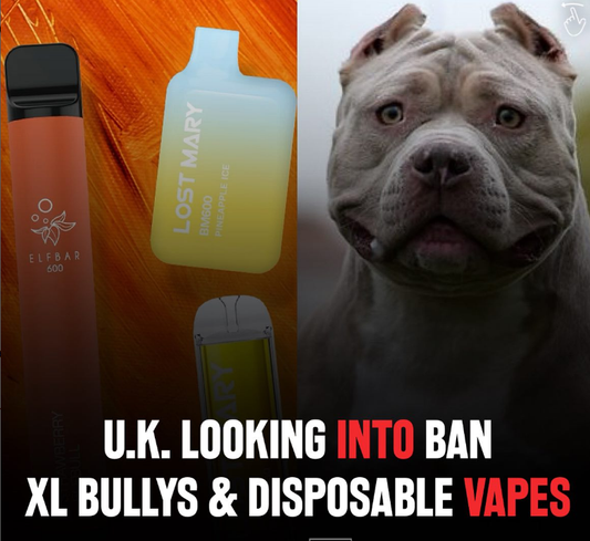 Banning Vapes: A Closer Look at the Issue